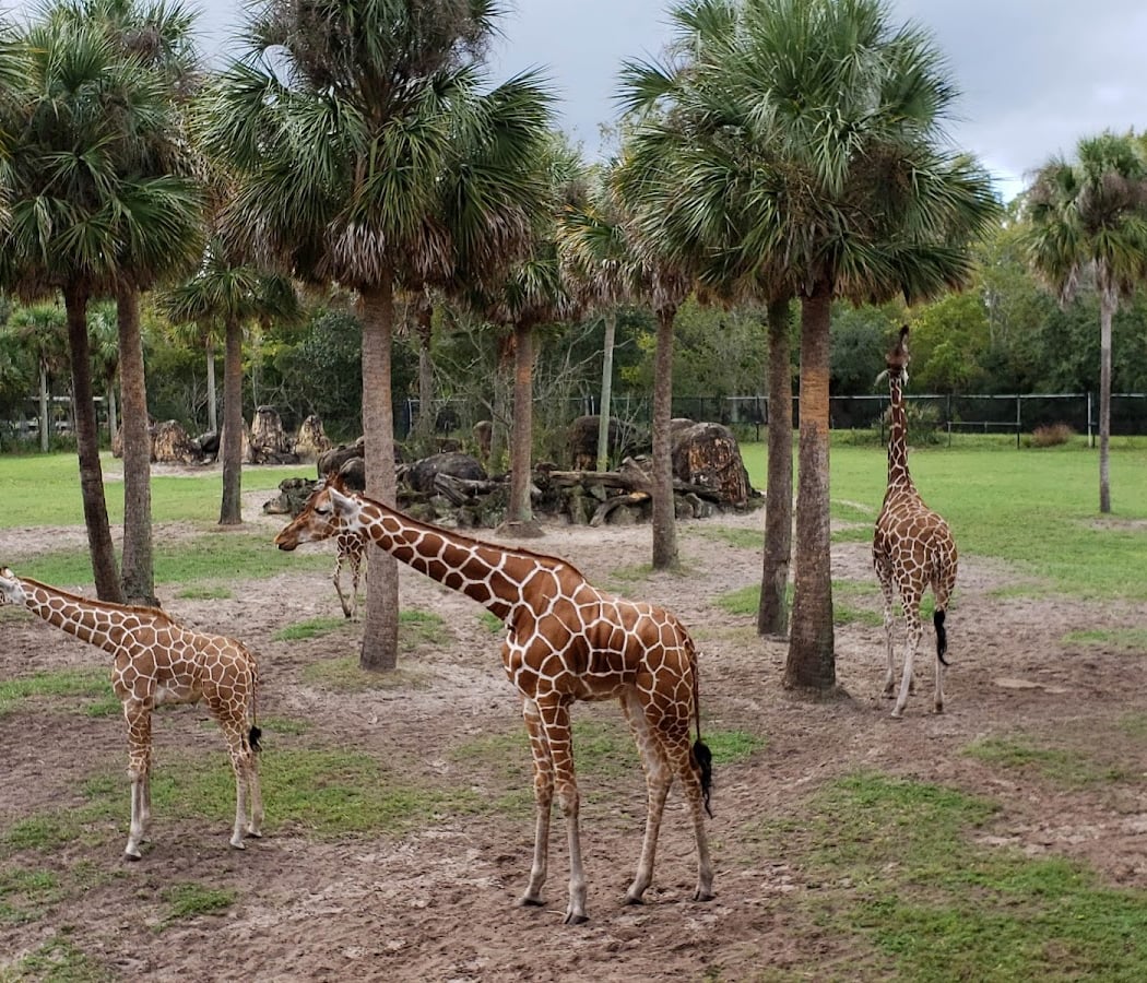 Tastings with Tigers 3